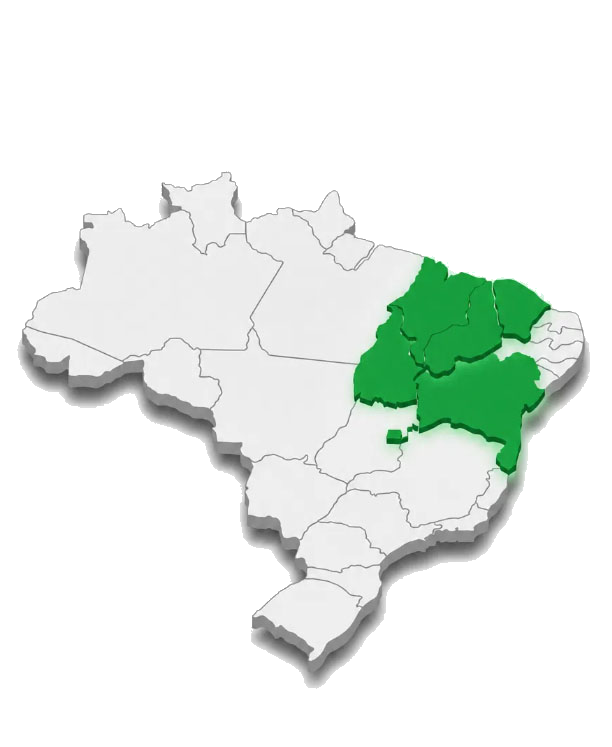 Mapa 3D do Brasil destacando estados de atuação da Custom Energia Solar